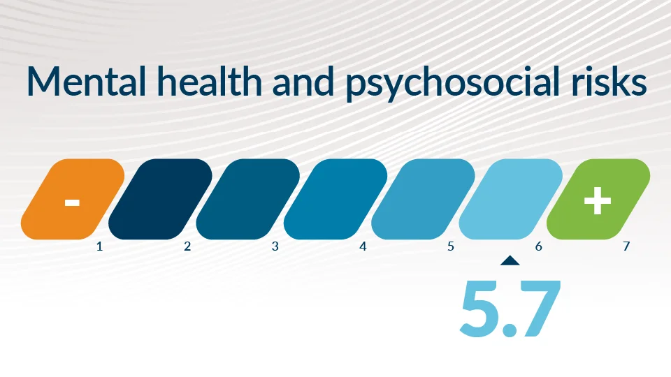 Mental Health Risks
