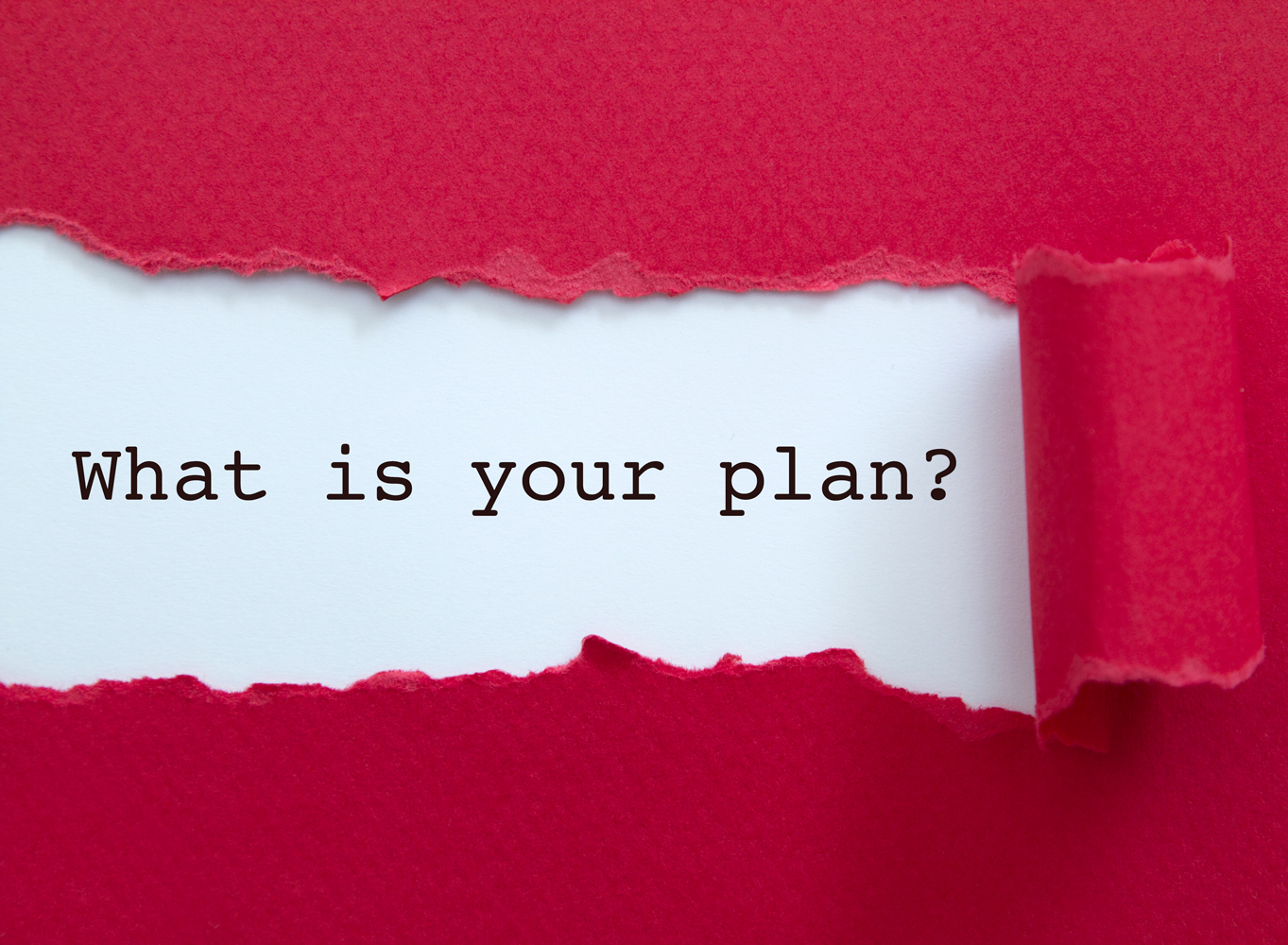 What is your plan?